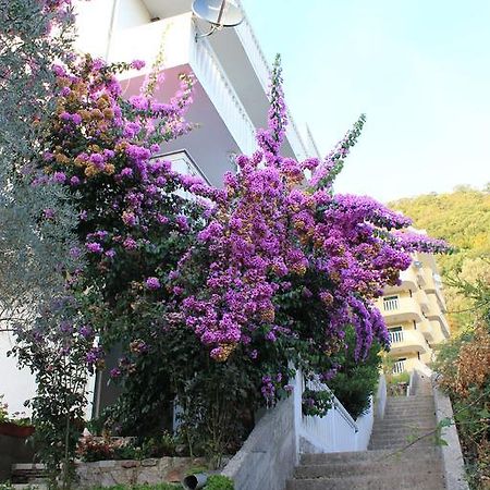 4M Apartments Petrovac エクステリア 写真